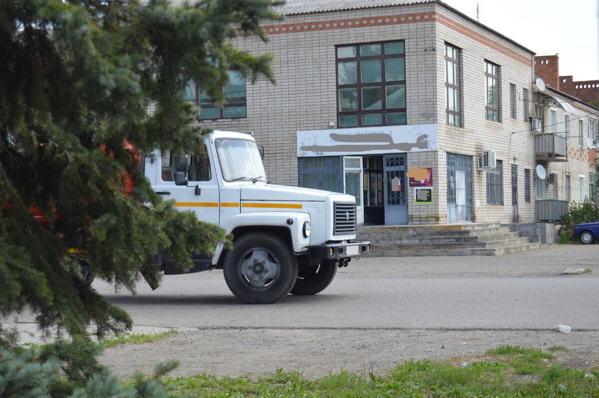 Фото автора. Июль 2023. Ему хорошо, он спрятался в тенёчек.