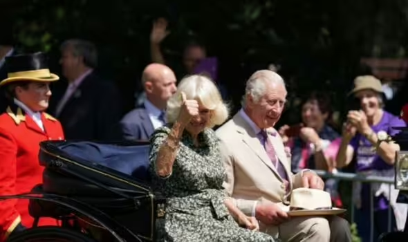 Фото из сети Интернет