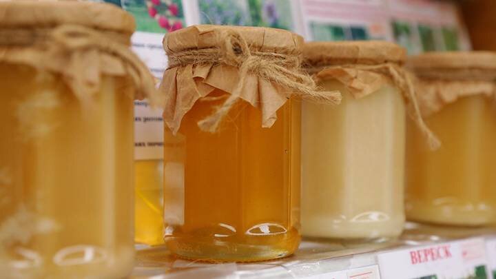  Фото: Анатолий Цымбалюк / Вечерняя Москва