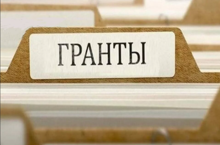    83 оренбургских проекта претендуют на победу грантовом конкурсе Марина Шарт