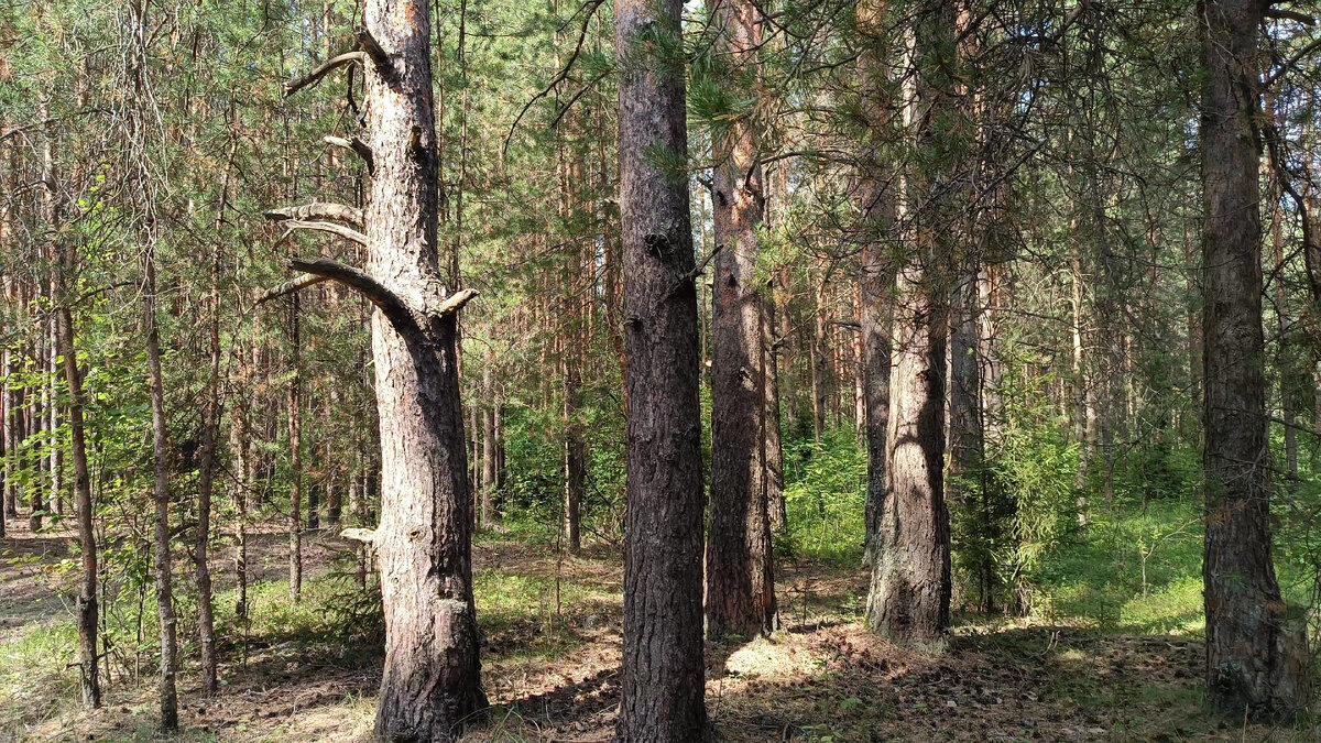 Фото автора статьи. 
