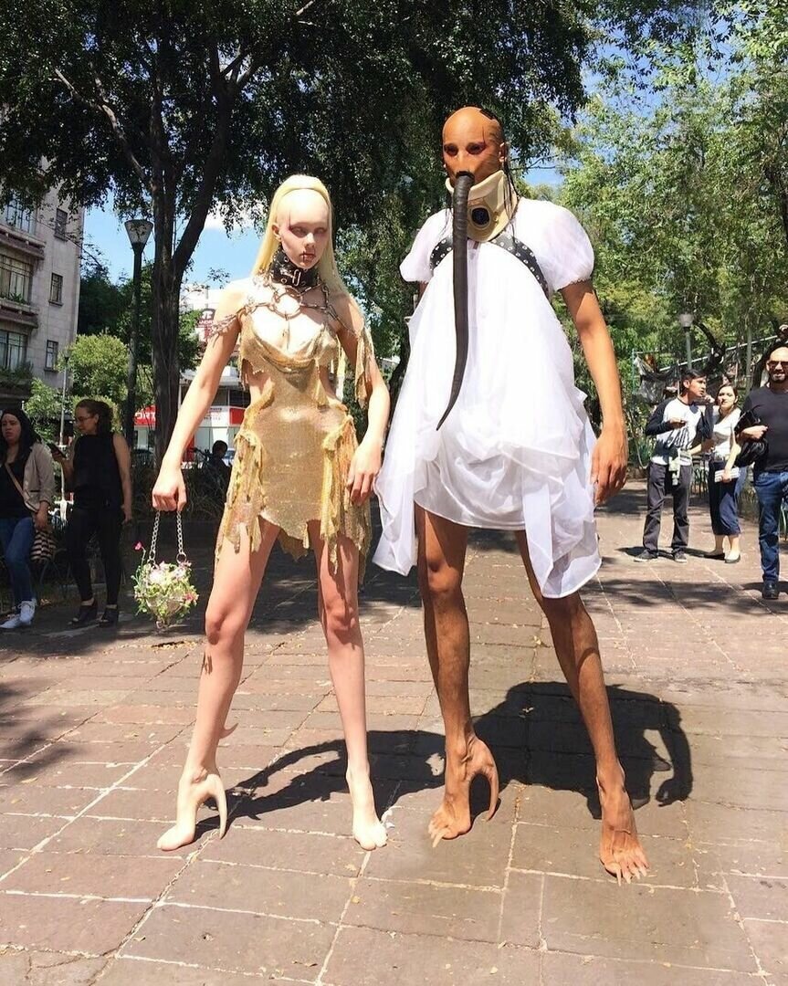 Яндекс картинки 