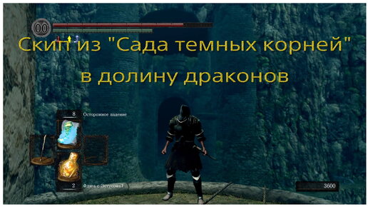 Скип в долину драконов из сада темных корней в Dark souls remastered