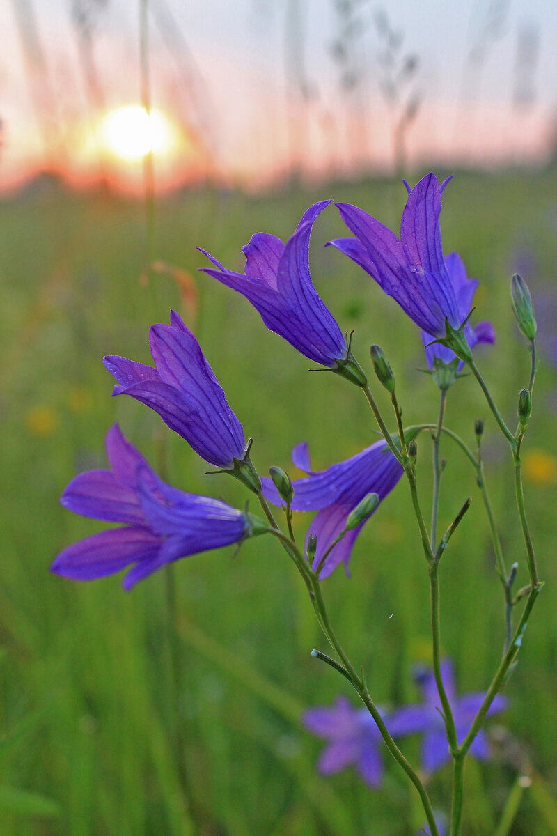 Фото Алексея ПАЛЫСАЕВА.