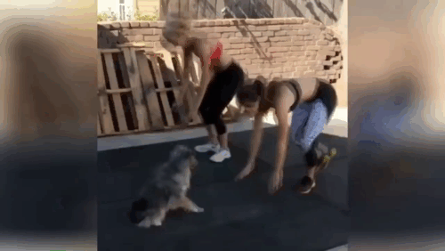 Материал взять из простора YouTube, с пометной свободное распространение.