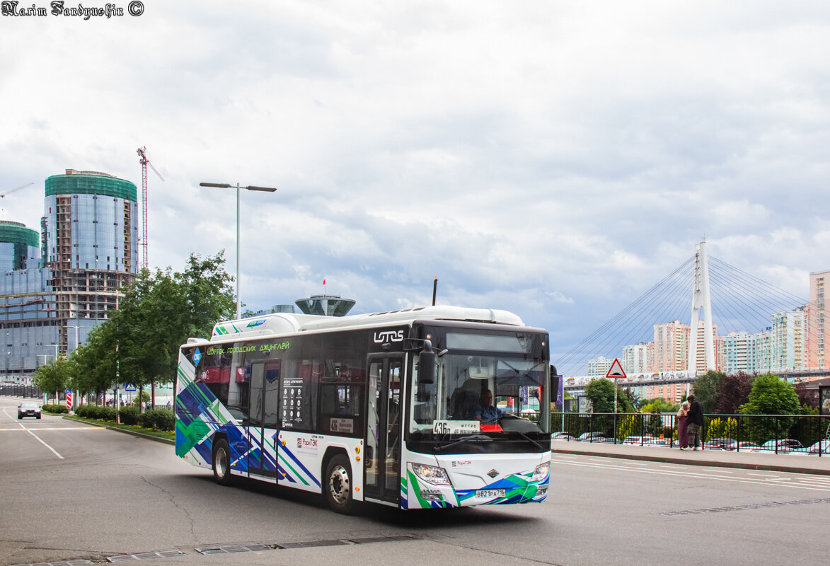 Цветок городских джунглей