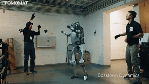 Это уже слишком, я вам не LittleDog!