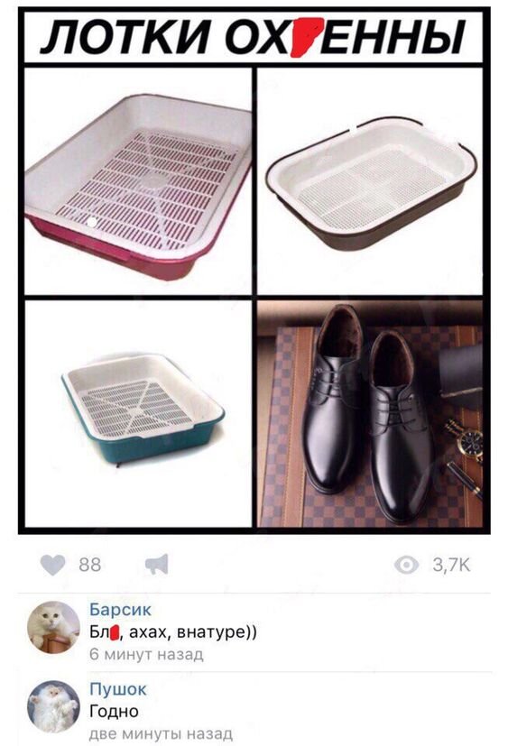 Мемы для кошек