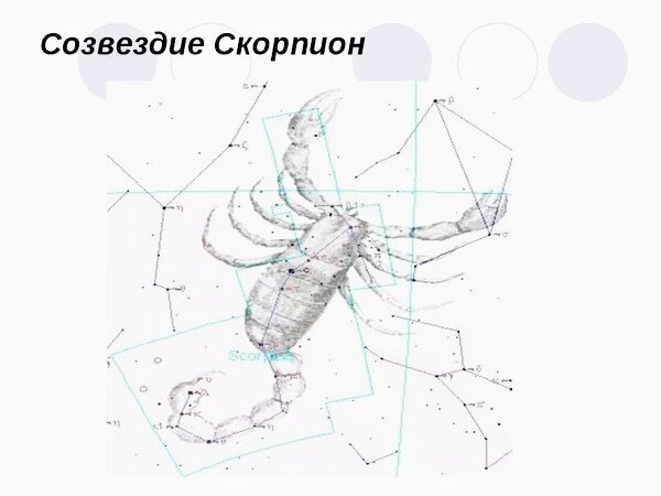 Созвездие Скорпика(фото из открытых источников) 