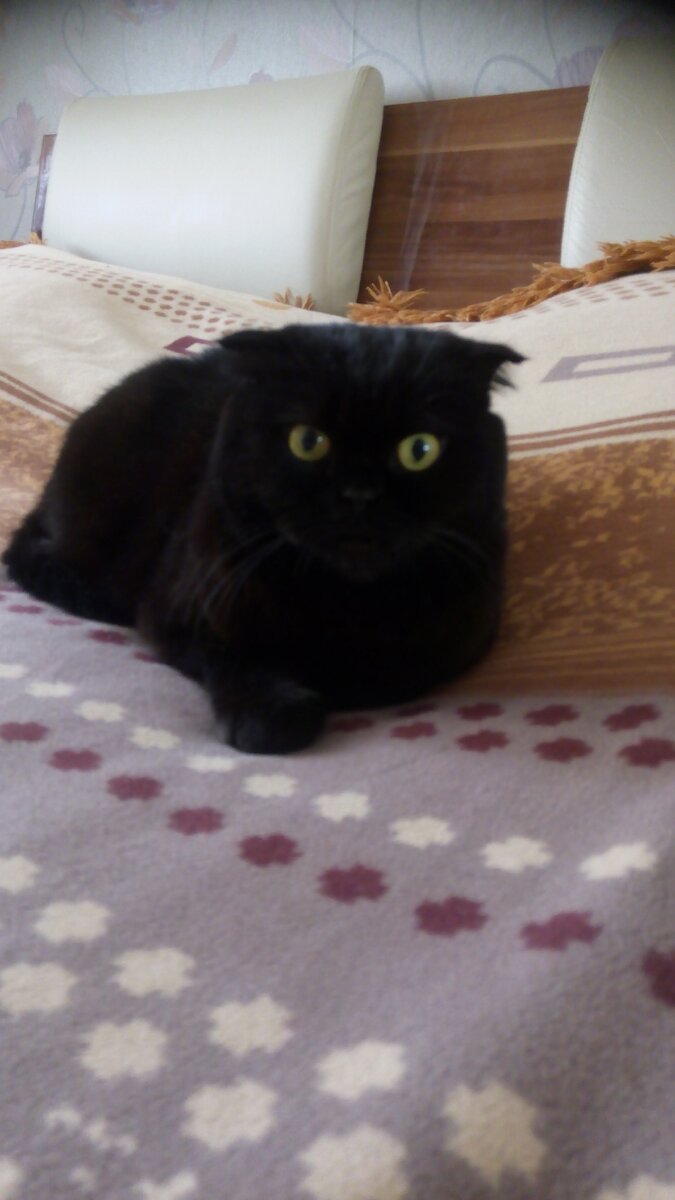 Наша кросота