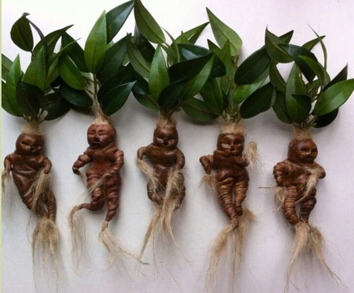 Изображение из открытых источников