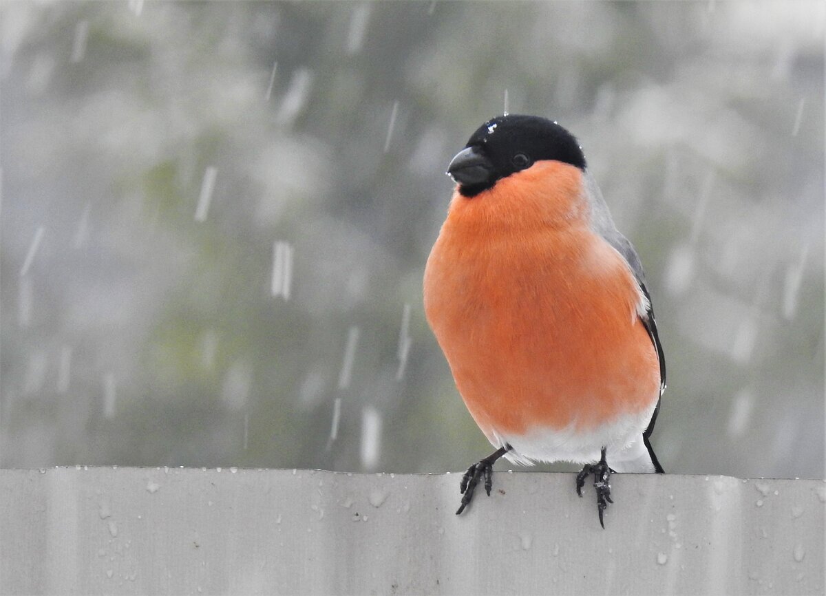 Хорош, красавчик, люблю нежно )
