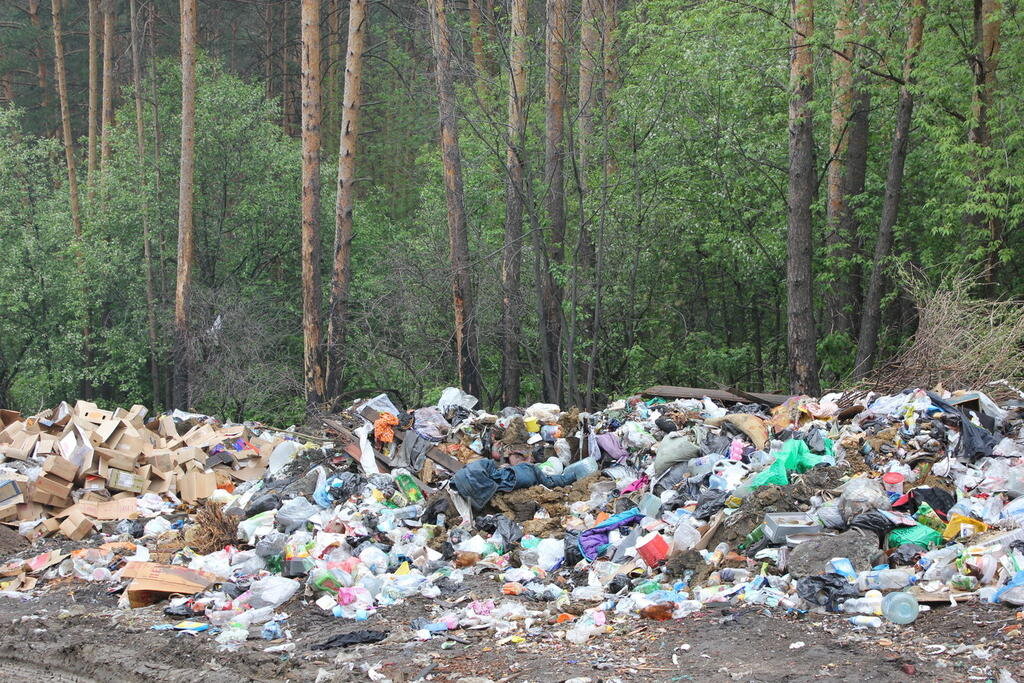 Частая картина в подмосковных лесах - горы мусора. Это уничтожение лесов, ущерб для экосистемы огромен