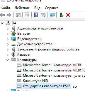 Клавиатура ноутбука в Windows 10 не работает. Что делать