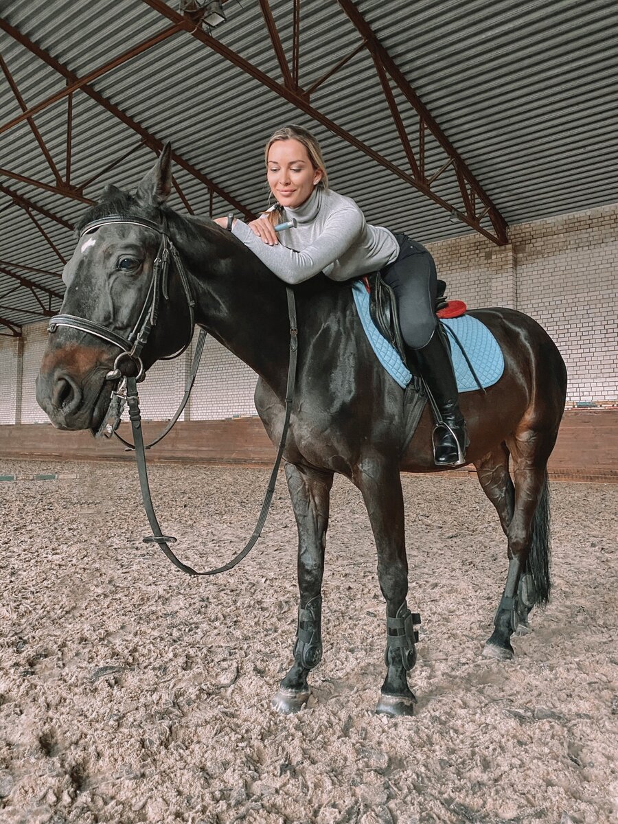 Орландо. Каждая новая лошадь - новый характер и особенности, об этом красавчике я расскажу в следующий раз. 