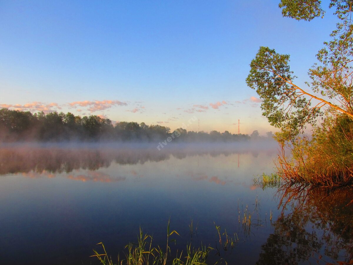 р. Волхов завораживает видами и рыбалкой😍
