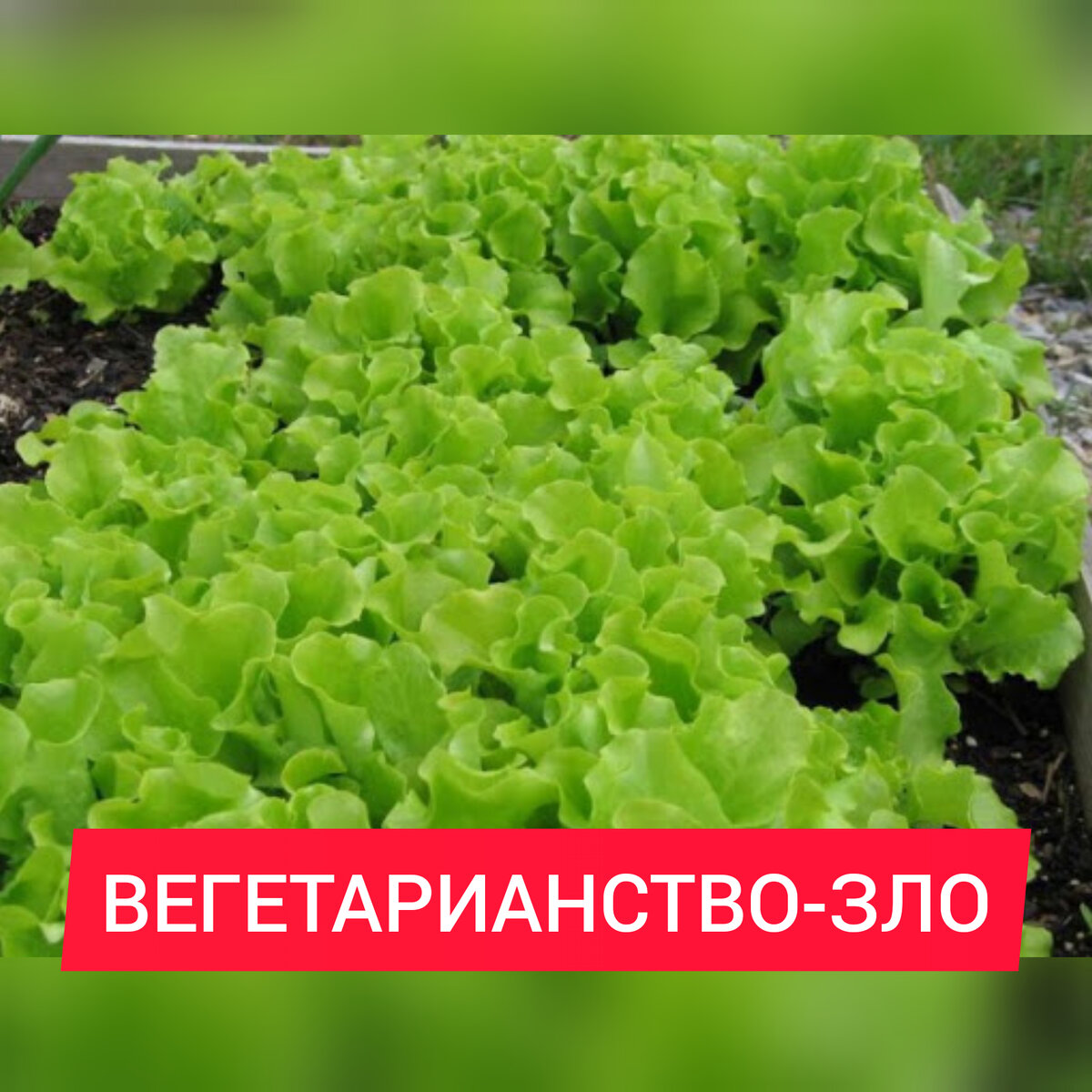 Пишите комментарии