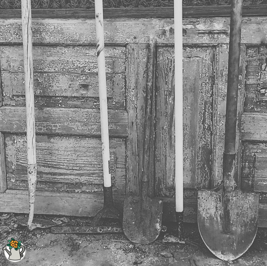 Старые инструменты