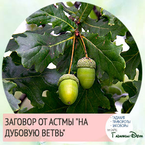 Предлагаем вам еще один проверенный способ избавиться от болезни. Заговор от астмы необходимо делать с мая по октябрь, когда листья на дереве уже есть, и реки освободились ото льда.
