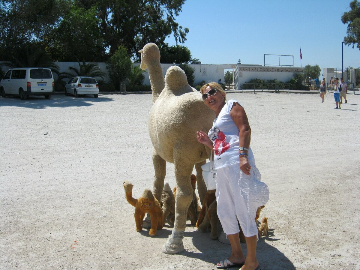 Муляж верблюда