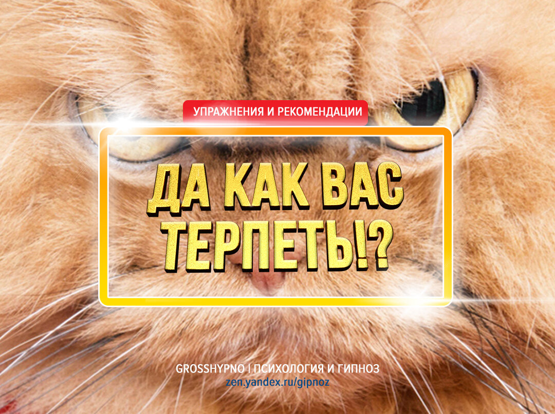 Авторская обложка для статьи "Рекомендации для терпимости к людям"