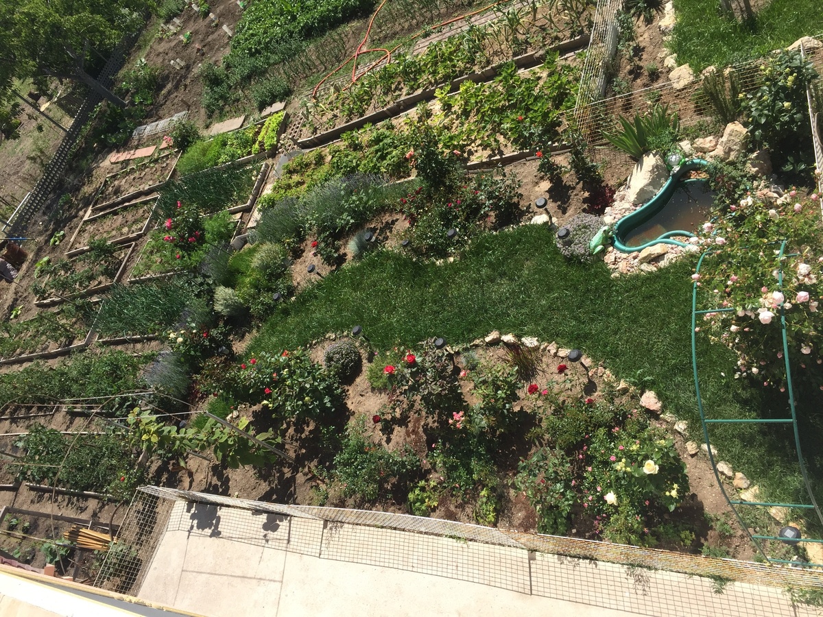 Фото из личного архива.