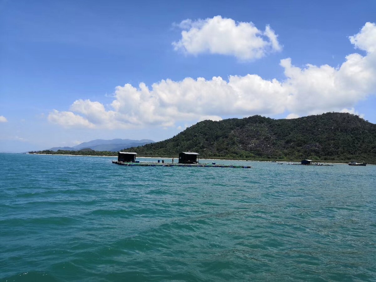 Южно-Китайское море. Южно-Китайское море во Вьетнаме называют Восточным морем и 