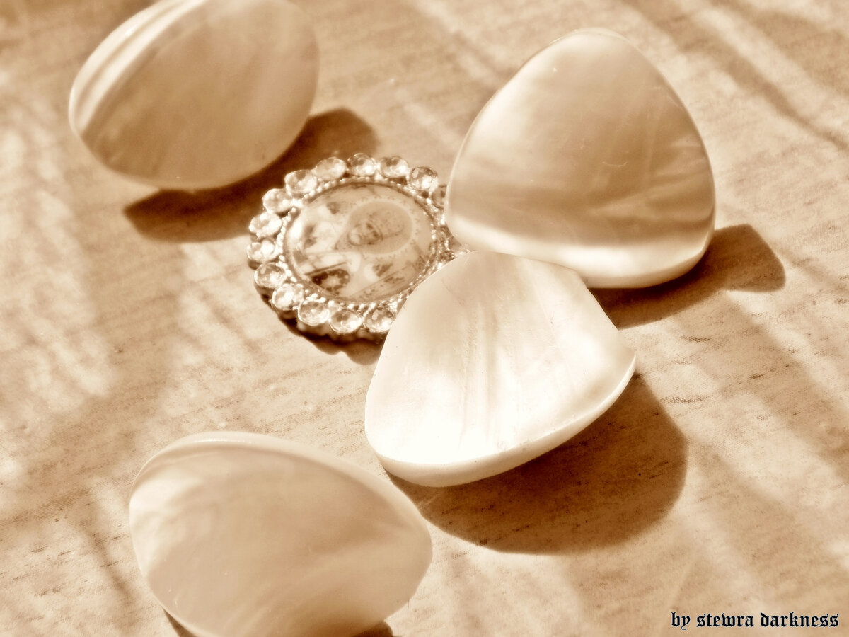 Авторское фото: Анастасия Шацкая