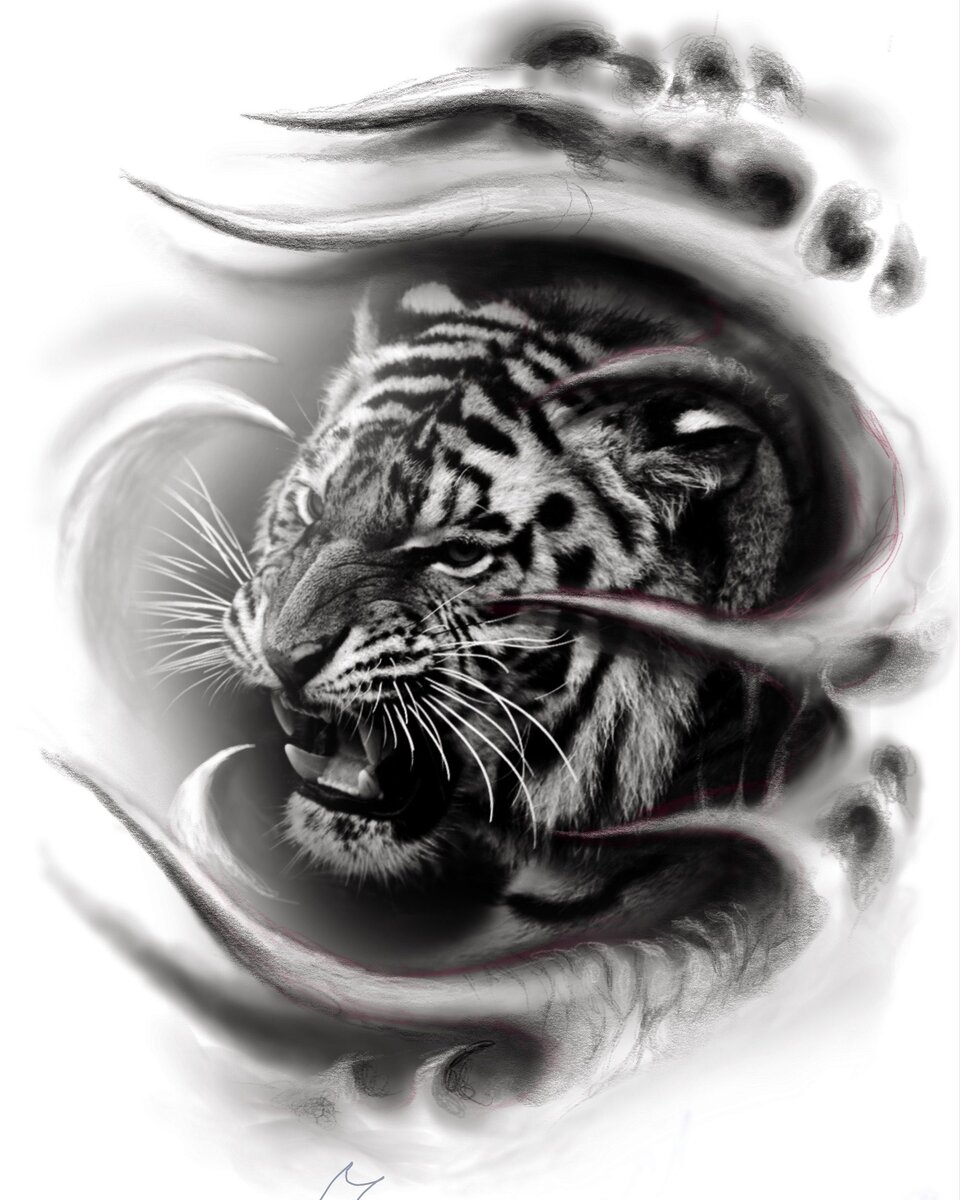 Бело черный тигр