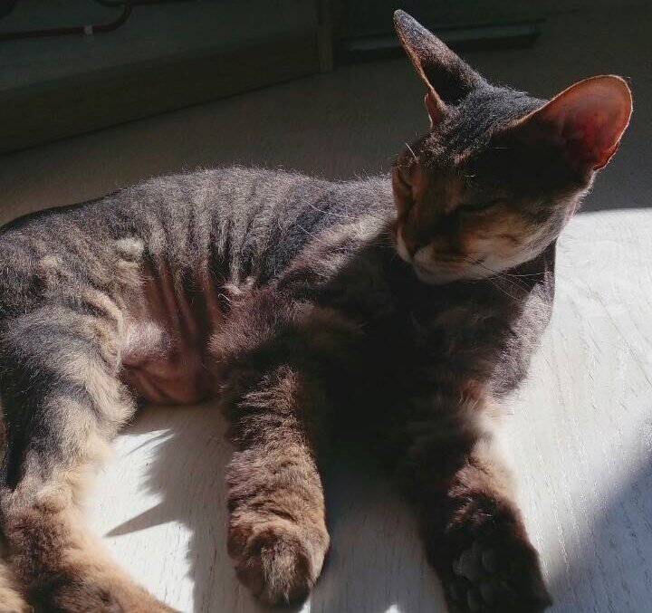 Дженнифер дремлет 