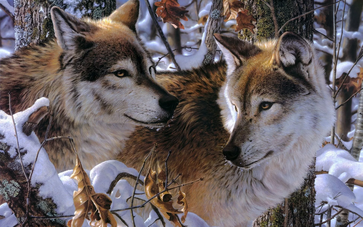 Фото из открытого к доступу источника