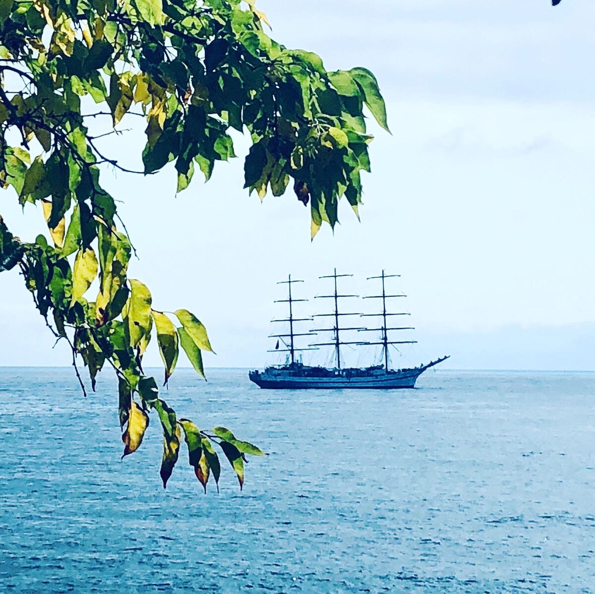 Фрегат "Херсонес". Курсирует между Крымом и материковой частью черноморской ривьеры России.