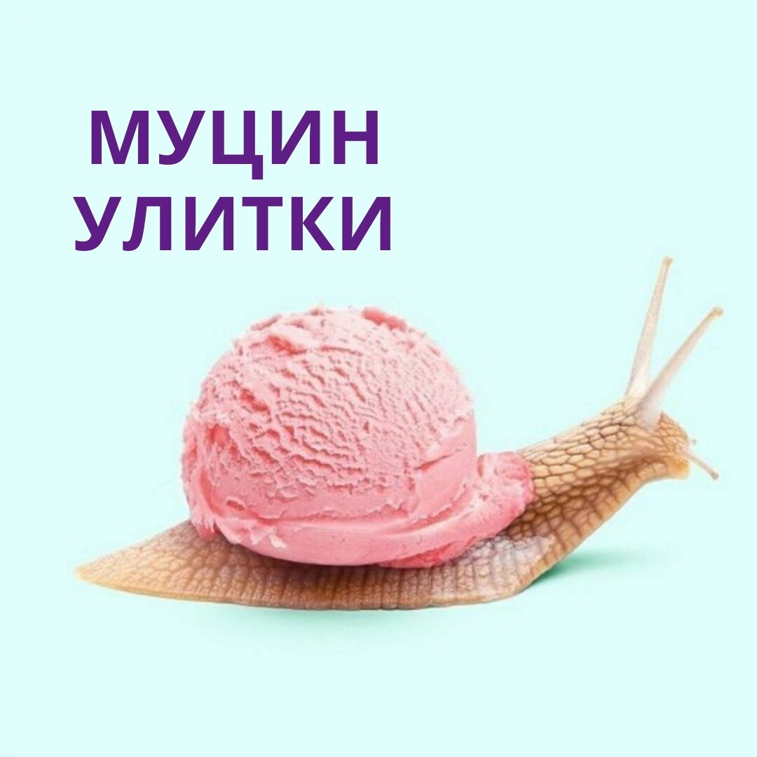 Муцин