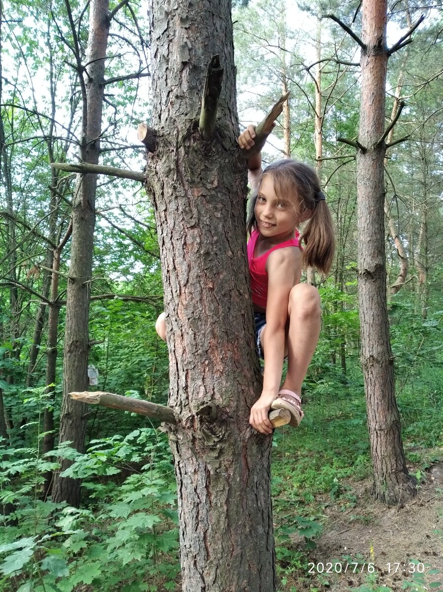 Мы играли обычно за огородами, на краю леса. Личное фото.