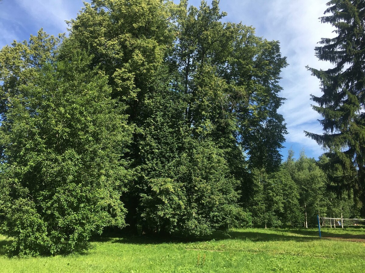 Щегловский парк.