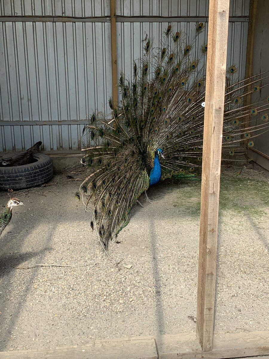 Фото из личного архива