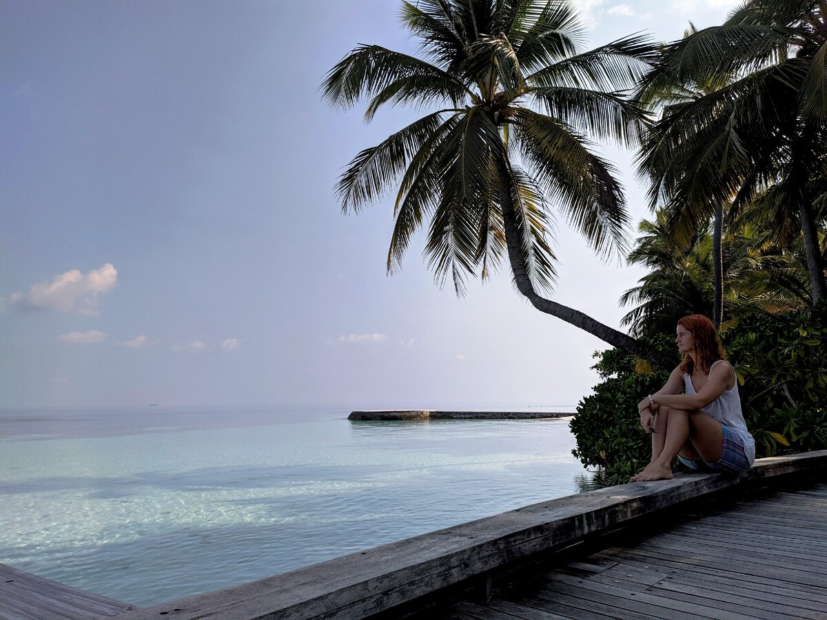 Пальмы над морем - картинка идеального Баунти