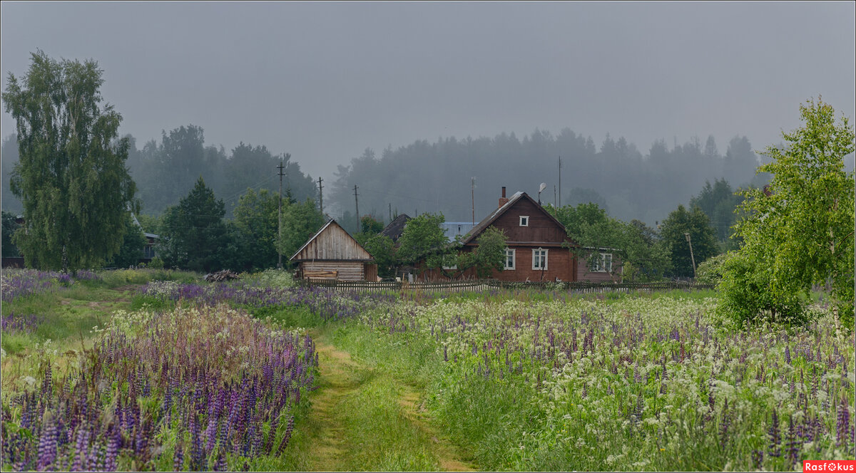 счастливый амулет кукуево