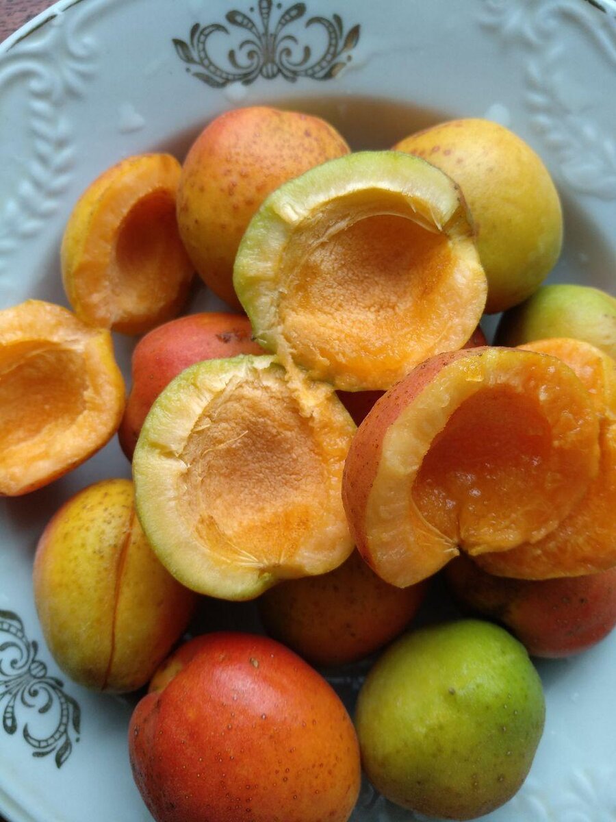 поздние абрикосы