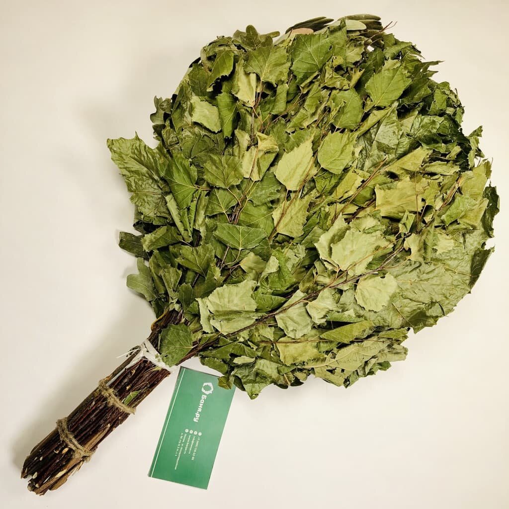 листики для берета. банные веники дубравный. березовый берет. береза жакмана. беретка вдв.