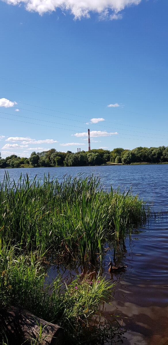 Приплыли уточки. Угостили баранкой, больше ничего не было.