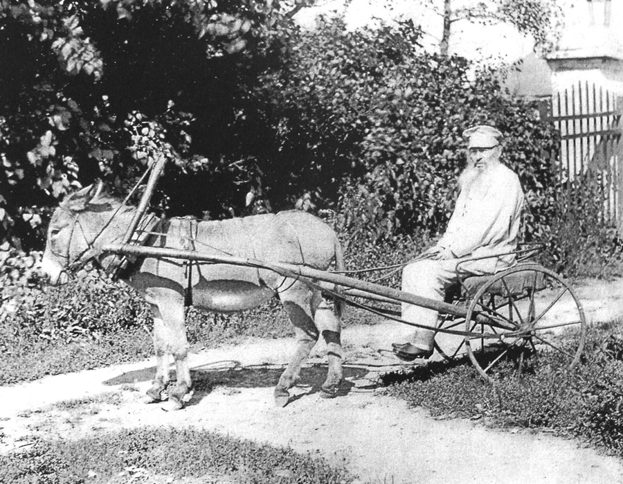 Фет в Воробьёвке (1890),  владения Фет объезжал на запряжённом в небольшую повозку осле по кличке Некрасов.