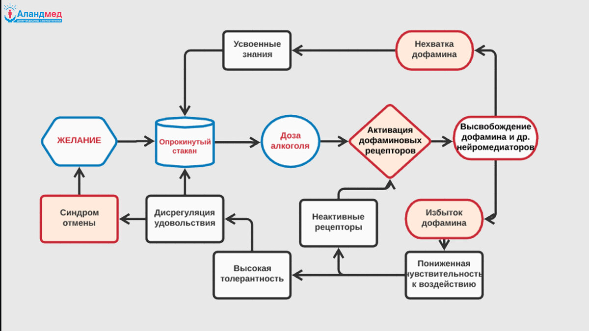 Биологический механизм формирования алкоголизма обж схема 8 класс