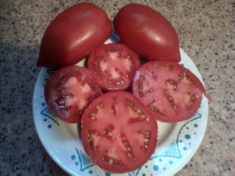 Томат Воловьи уши