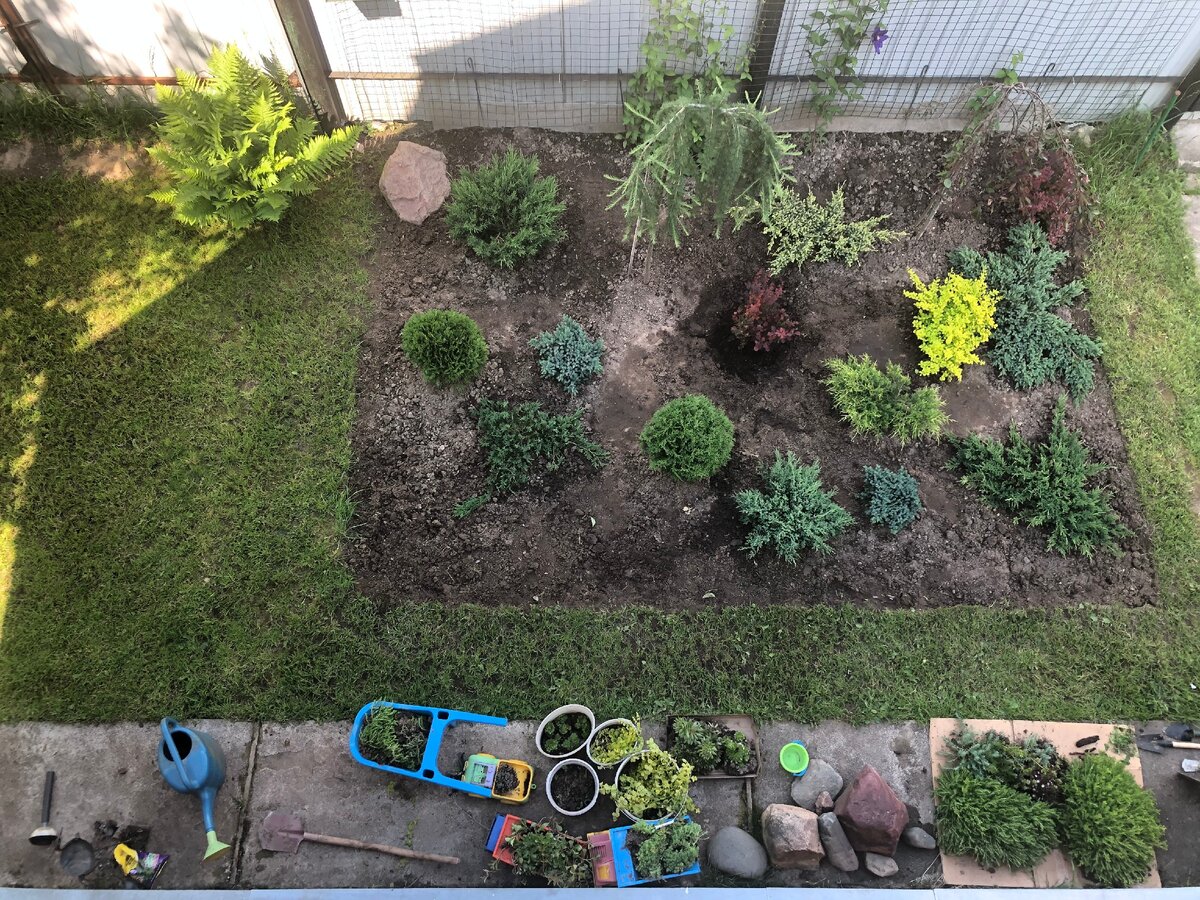 Вид клумбы сверху. До мульчирования. В конце статьи показал фото в стиле «было-стало». Фото автора 