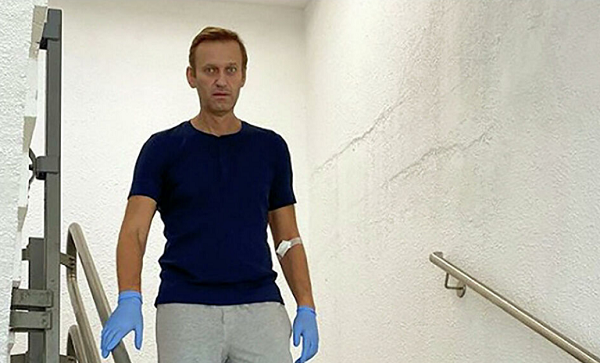 Украинская журналистка мастерски и очень по-женски разоблачила «дело об отравлении Навального»