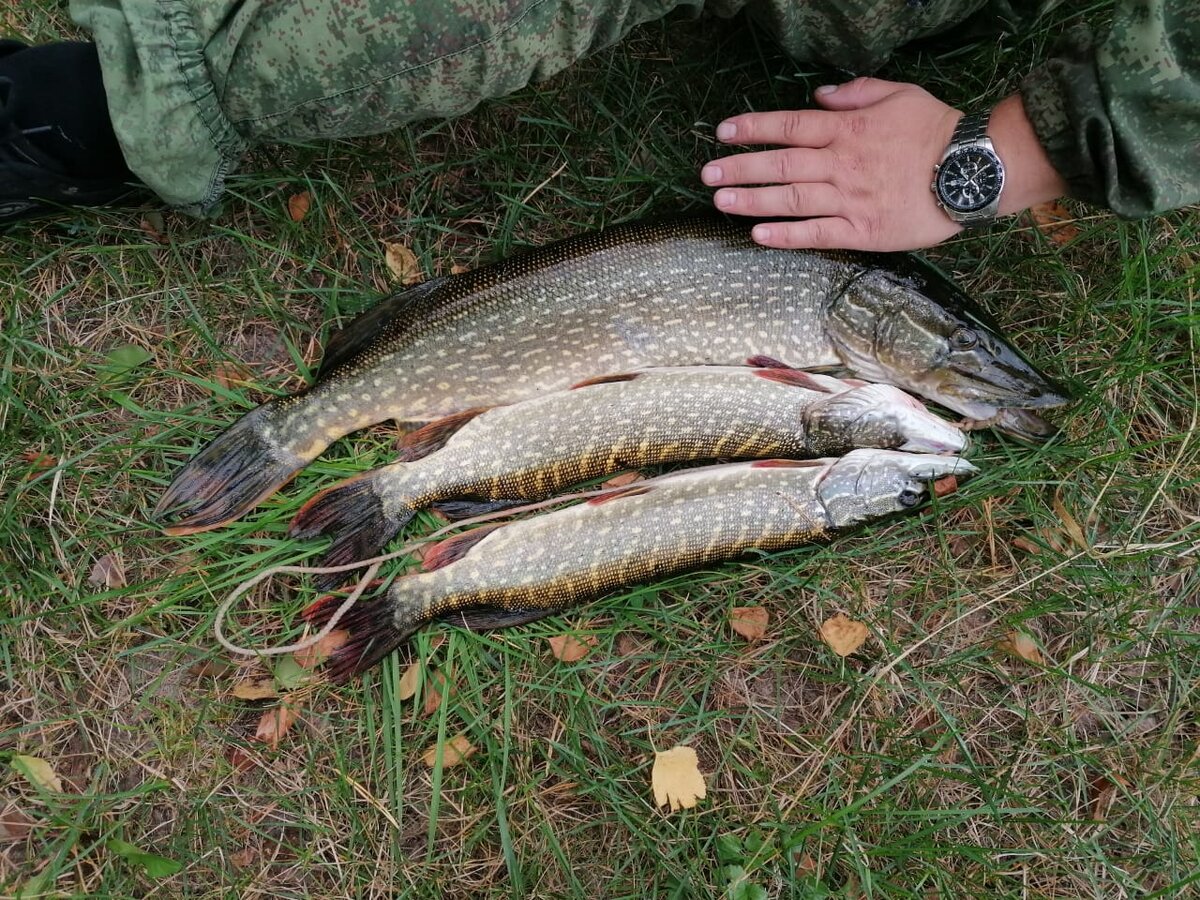 Большая на 3кг.