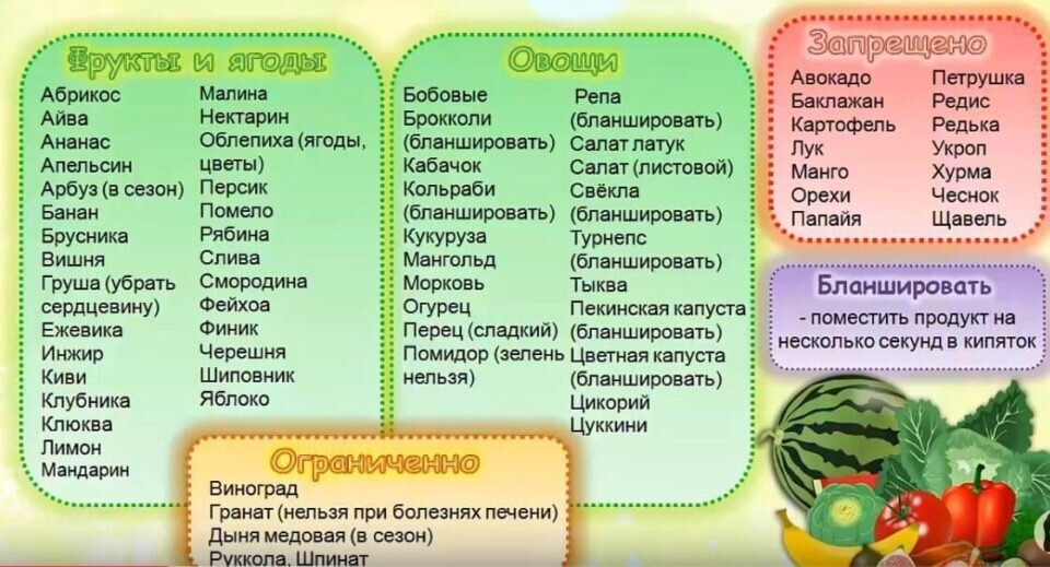 Взято https://mikrozajmi.ru/wp-content/uploads/2018/09/Primernyj-perechen-960x519.jpg