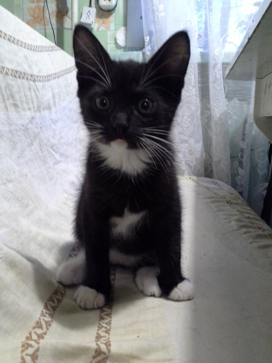 Маленькая Бусинка