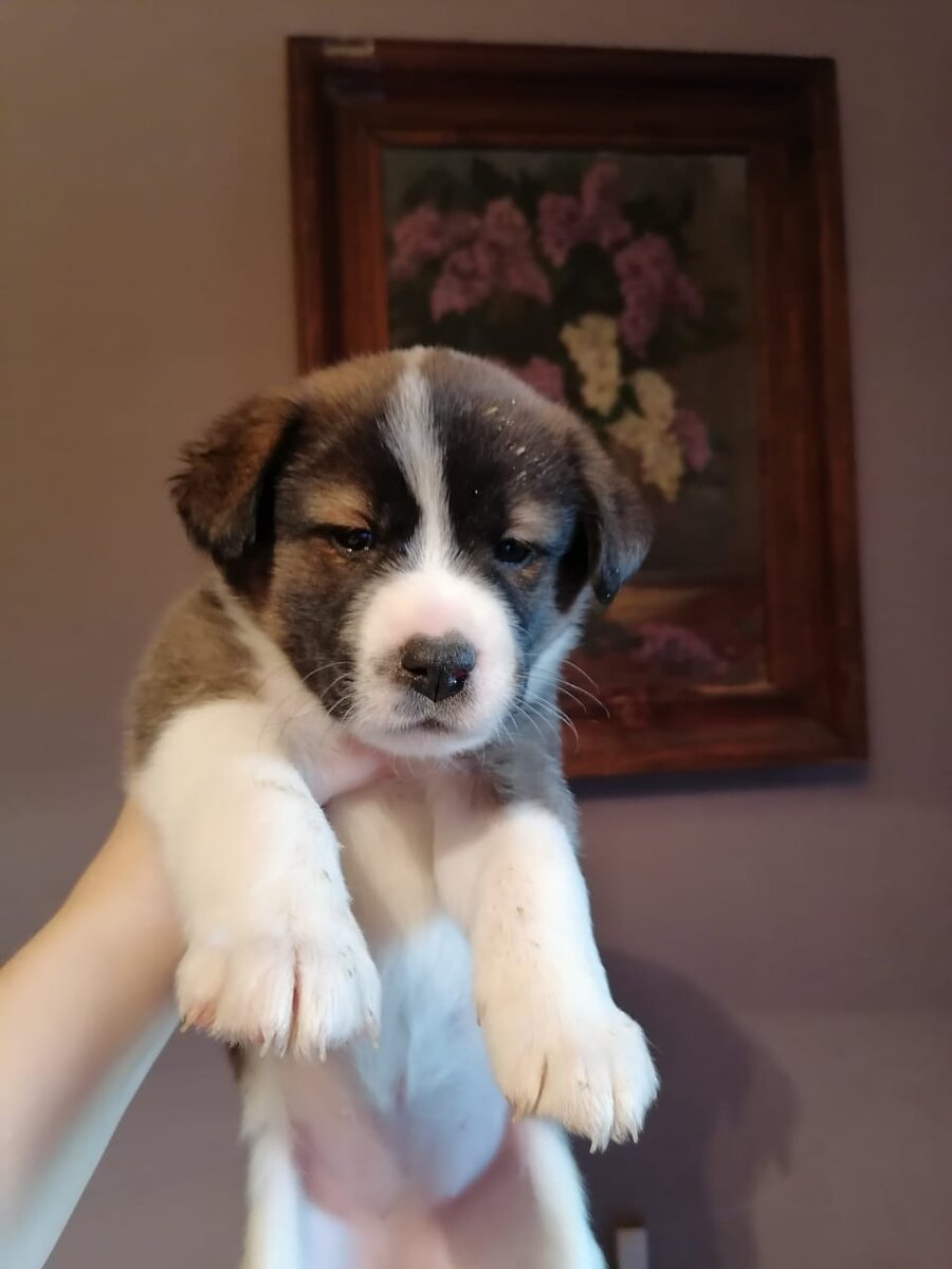 Джуна дома!